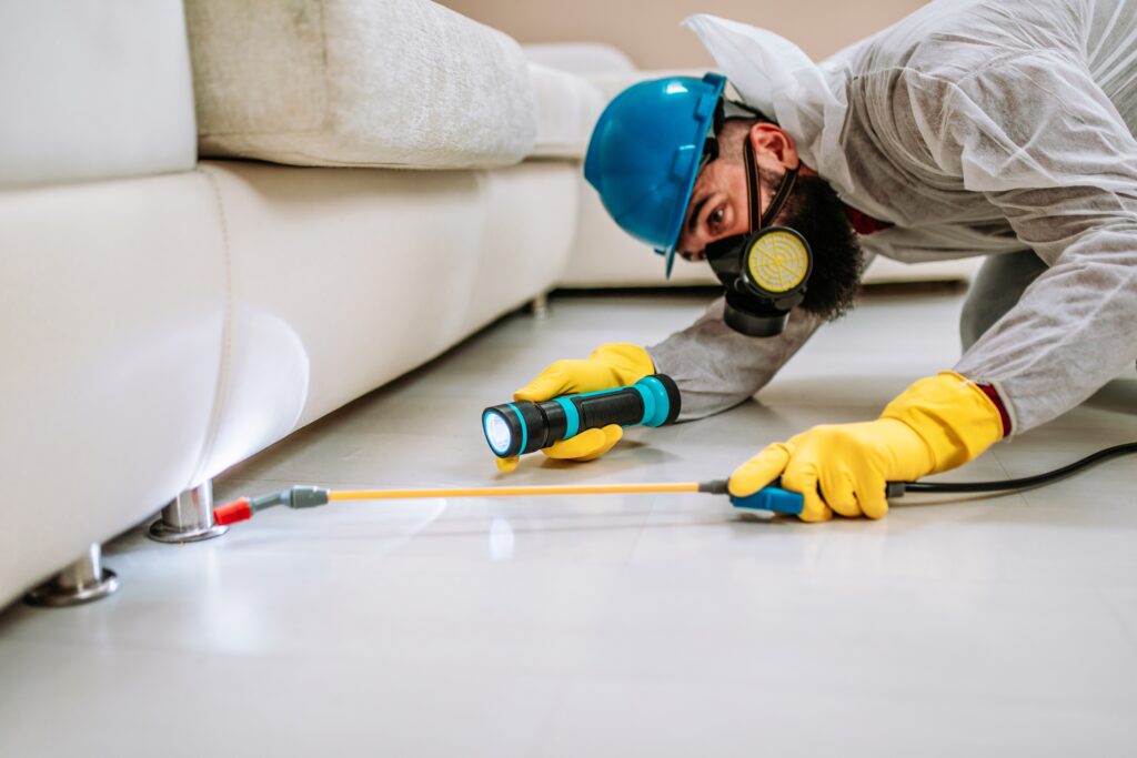 Bell Termite Control