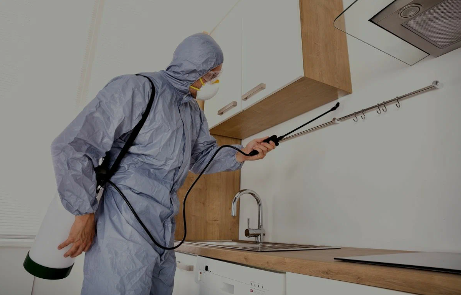 Bell pest managment
